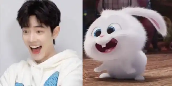 兔兔这么可爱,新年顺利平安#肖战##星姐微博