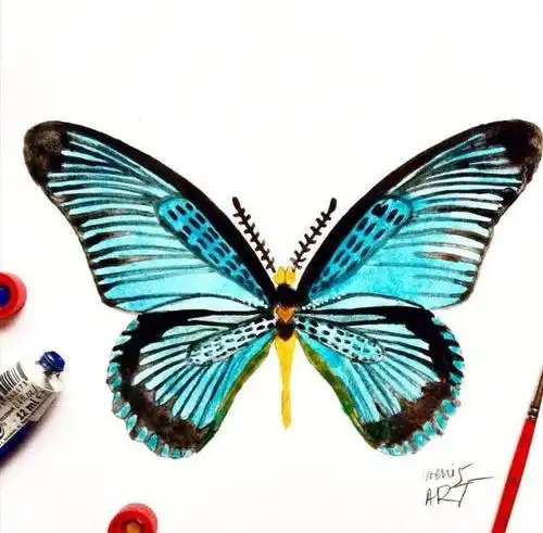 超美的一组水彩蝴蝶插画分享!