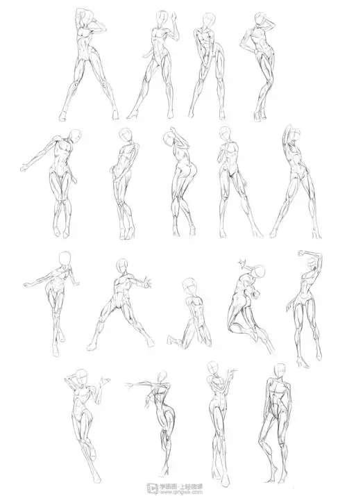 人体肌肉入门角色人体肌肉基础训练