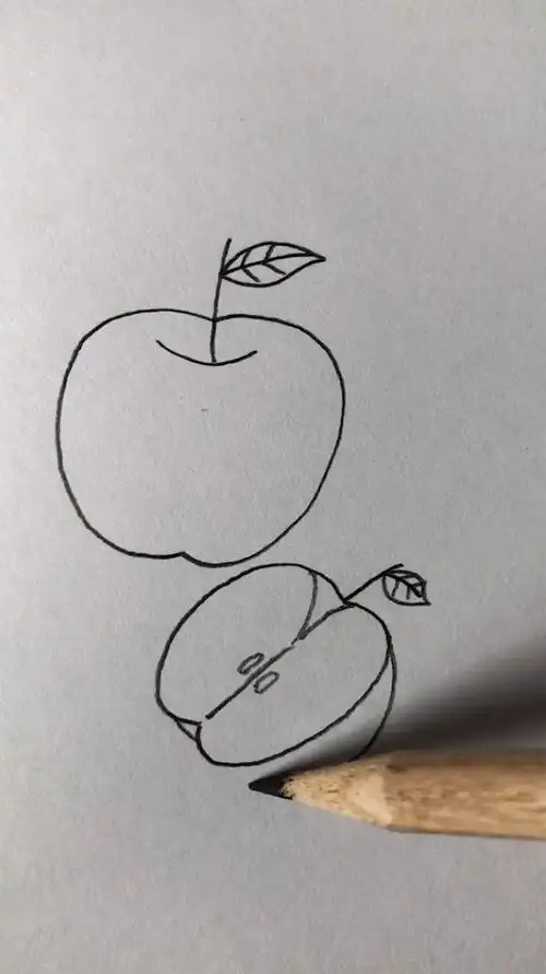 铅笔画;一个半的苹果