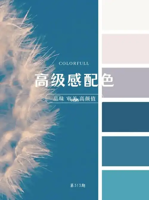 高级感奇奇怪怪可可爱爱配色方案