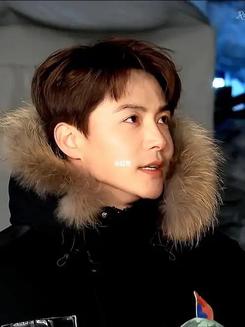 唯一纯白的茉莉花马天宇