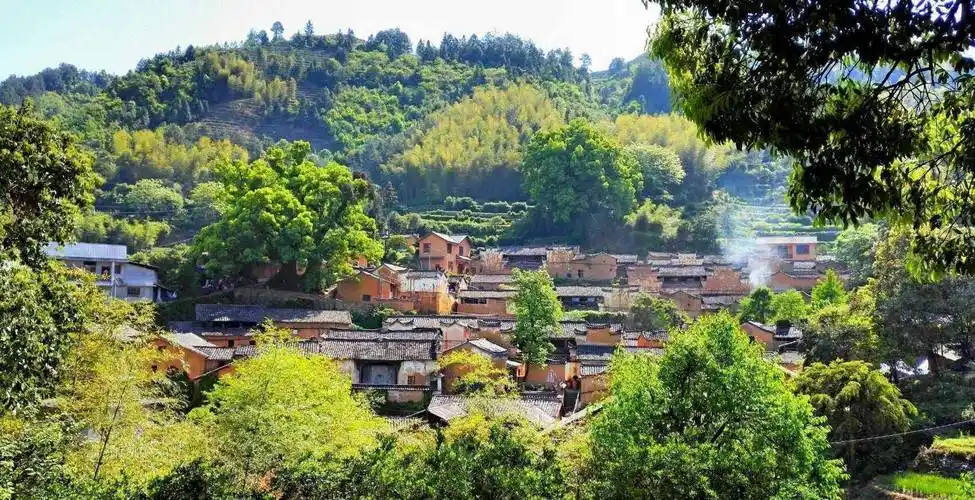 因摄影记者误闯而闻名,门票免费,但知道的人不多_杨家堂_松阳县_村子