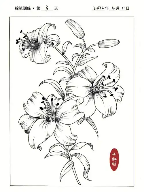 《北窗偶题》#自学画画  #零基础学画画  #百合花  #百合  #简笔画