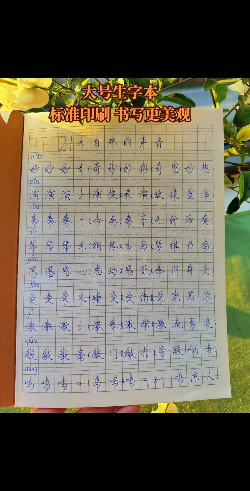 大号生字本,优质护眼纸张,书写不卡纸不透墨!标准印刷,格子够