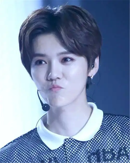 男士假发 韩版短发 男生帅气 中分刘海 短直发学生头 包邮