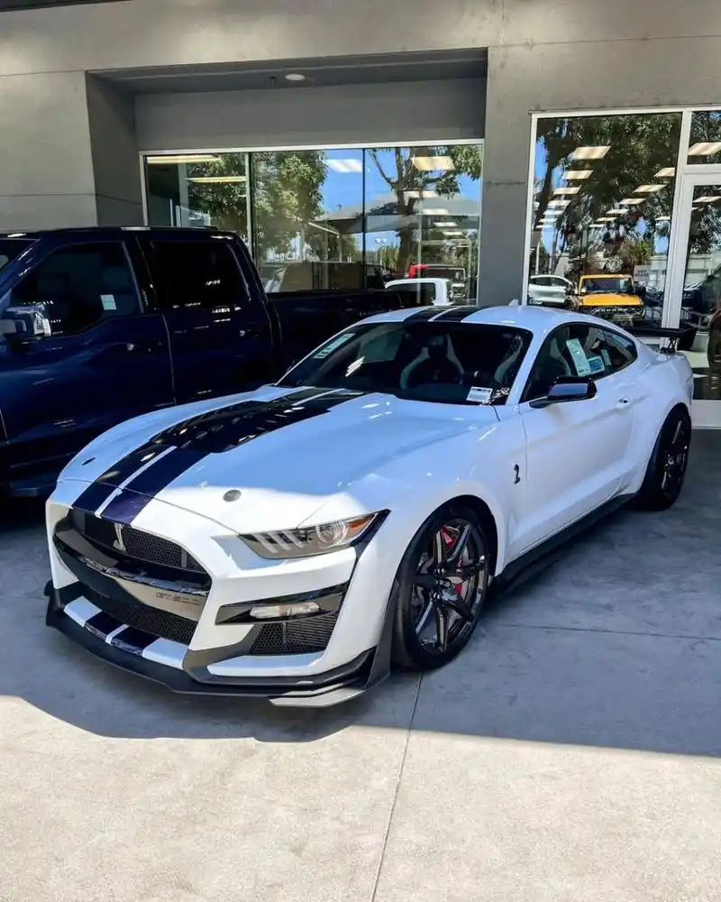 野马谢尔比shelby gt500