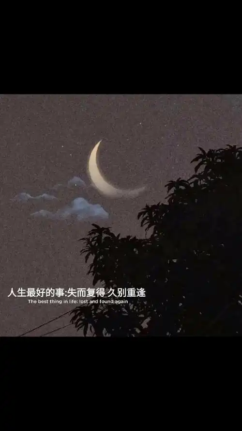 精美情感文字语录手机壁纸