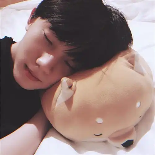 马嘉祺同款柴犬名创优品狗狗毛绒公仔抱枕miniso可爱毛绒布艺类玩具