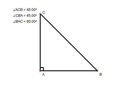 在一个直角三角形中,一个角是45°,另一个角是45°,这个三角形也是( )