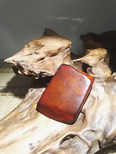 骆越古国史前古玉文化