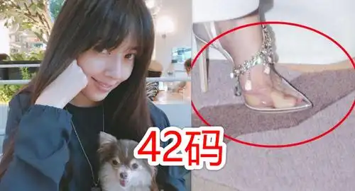 有种"意外"叫女星鞋码,郭碧婷42码,鞠婧祎36码,看到最后:真实存在