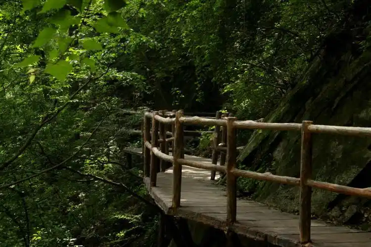 南召宝天曼景区