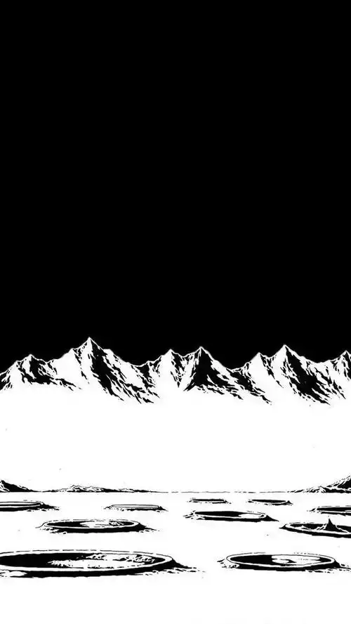 黑白简约壁纸侵删