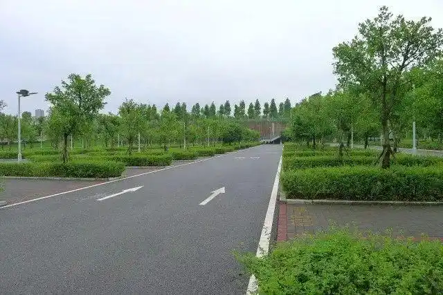 停车场雨水花园