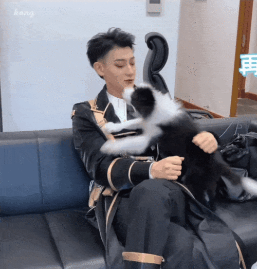 人不如狗系列黄子韬上班也要带上爱犬ace女粉好羡慕