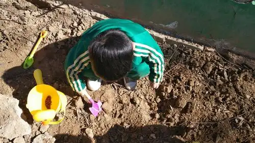 快看,小朋友们在种种子呢!