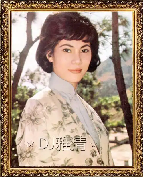 飘零燕电影剧情解析「解说」 _晶羽科技