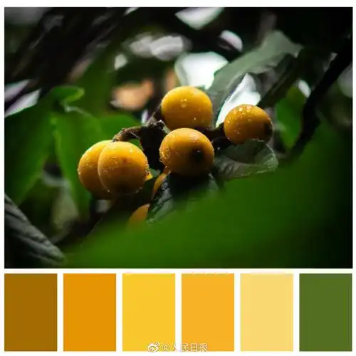 色卡方式打开夏日武大校园##七月的夏天是什么颜色