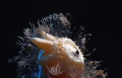 足球运动员,有bip踢球,过人,顶球,盘带等动作,基础人体,动画角色,3d模