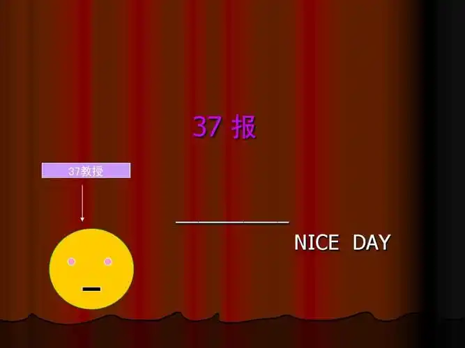 37报ppt