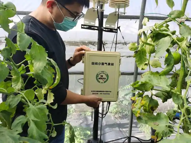 塑料大棚也能智能化北京开展高效设施农业用地试点