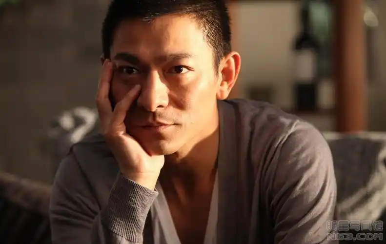 刘德华写真图片-自制320x240壁纸.高清大图-明星写真馆n63.com