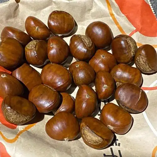 西政北苑超市板栗