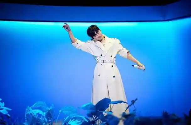 华晨宇演唱会官宣被捣乱亲下场怒斥始作俑者粉丝矛头直指张杰