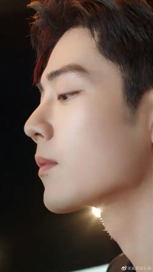 肖战仙品侧颜##肖战好伟大的一张脸