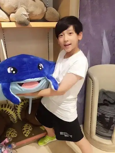 八佰总票房破20亿小湖北眼神戏出众13岁张俊一未来可期