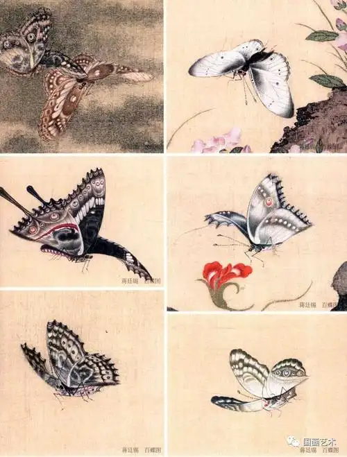 今日热点 > 内容百蝶图 清 蒋延锡