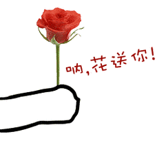 【七夕约惠节】99元限量抢购花先森原价188元红玫瑰礼盒一份