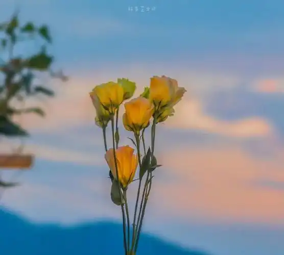 发朋友圈触动心灵的人生哲理唯美语录 经典入心|人生|点儿|雅意_新浪