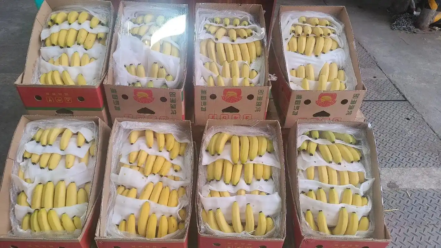 香蕉批发