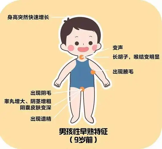 揭秘影响孩子身高的5大青春期性发育秘密