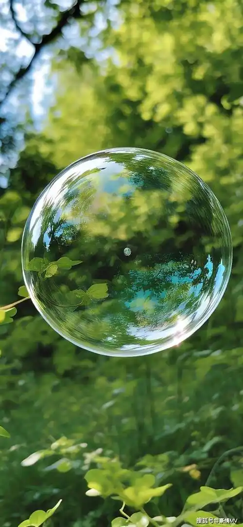 精选绿色系ins风壁纸无水印_高清绿色风格手机壁纸图片