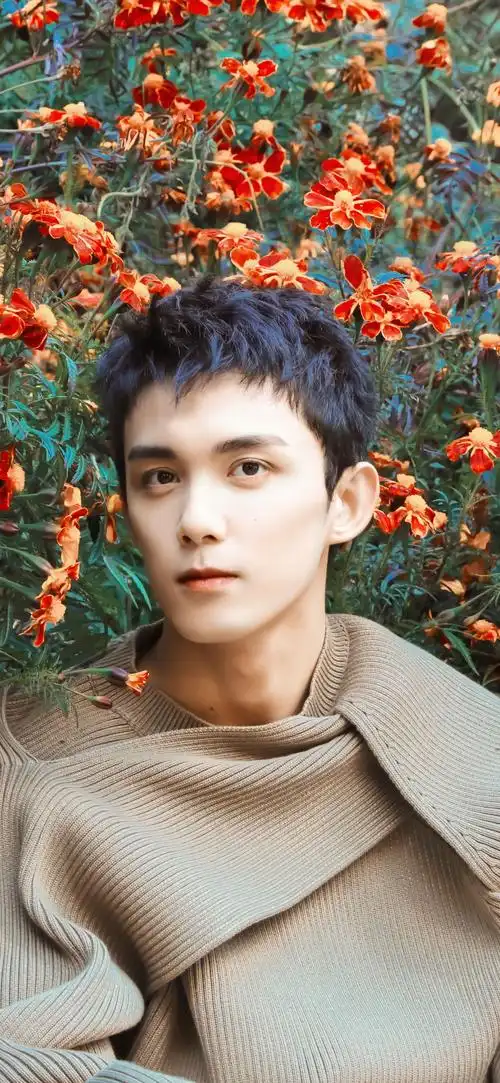 吴磊美图被喜欢的少年