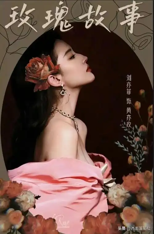 谁在迷刘亦菲?谁爱看《玫瑰的故事》?他们也在看