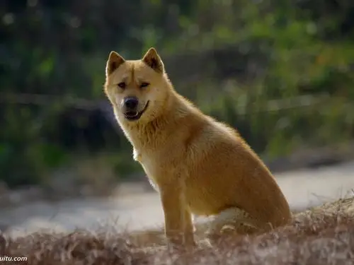 走在林间小路上,感到异常凉爽却阴森森的.