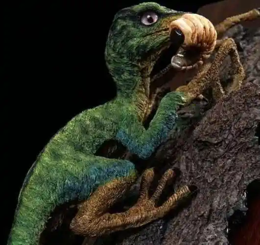 世界上最小的恐龙,树息龙身长不到20厘米