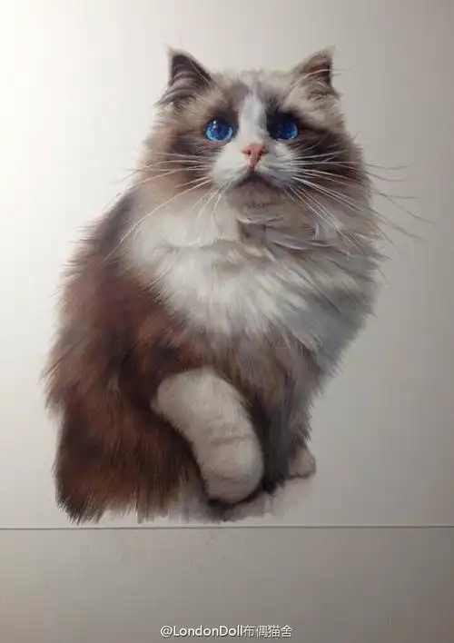 彩铅动物绘//孟祥雷作品 - 堆糖,美图壁纸兴趣社区