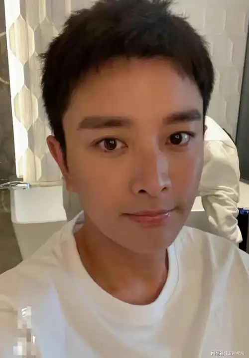 贾乃亮引发热议