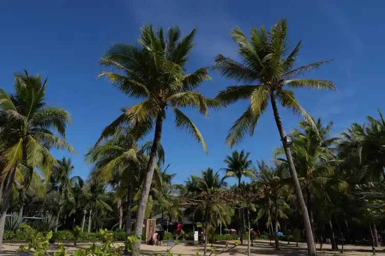 三亚的阳光沙滩