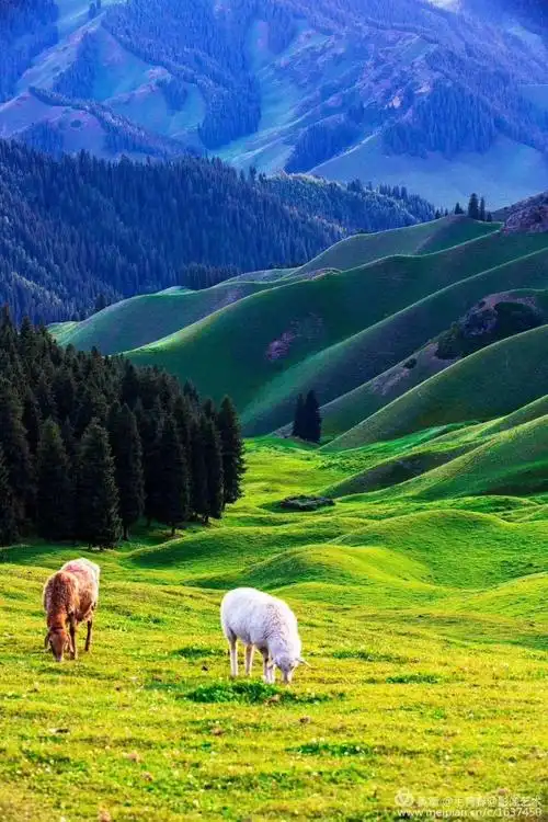 一年四季都是最美的风景!带您们游览美景!13999132126