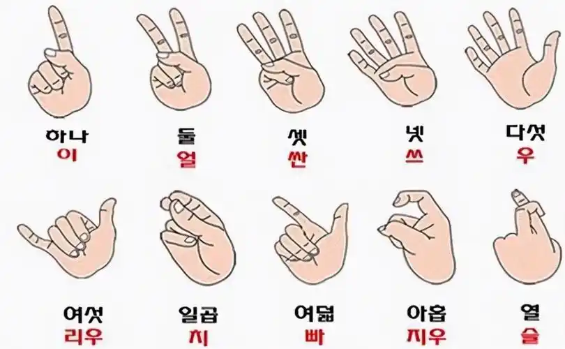 韩国人:难以置信的智慧,中国人可以用一只手比划十个数字