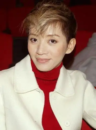 梅艳芳遗产纠纷落幕 母亲执着争产七年终败诉