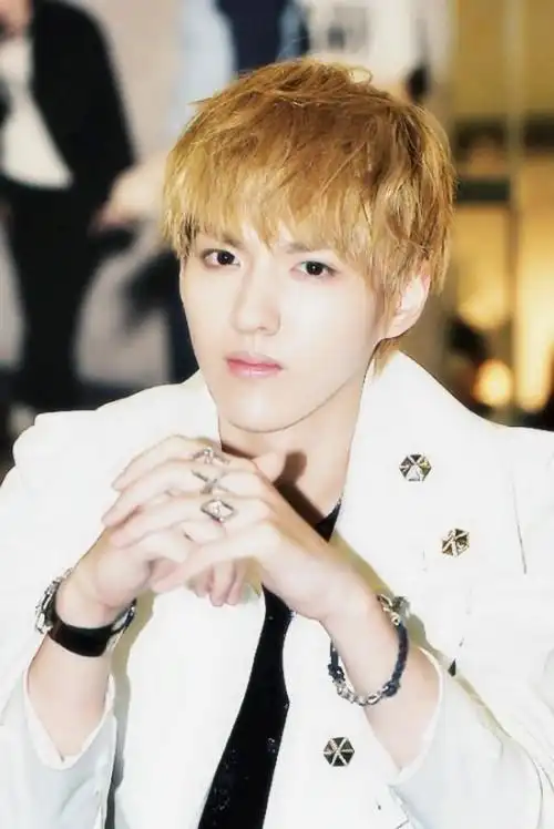 exo吴亦凡(kris)和sm娱乐之间针对专属合约的庭前调解没有达成协议.