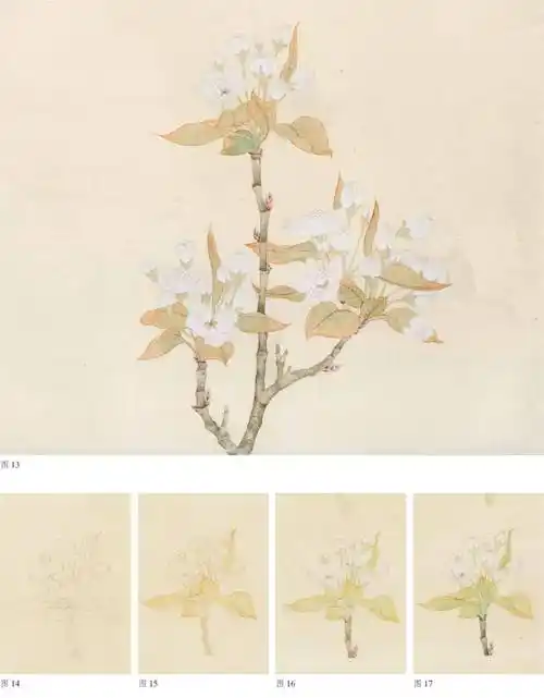 春日里的花花世界