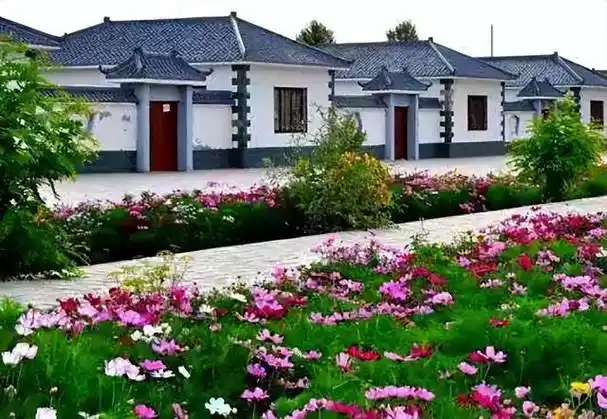 农村环境已经脱离了以前的脏乱差,现在很多村民已经过上了小康生活,大